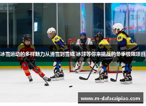 冰雪运动的多样魅力从滑雪到雪橇 冰球等你来挑战的冬季极限项目