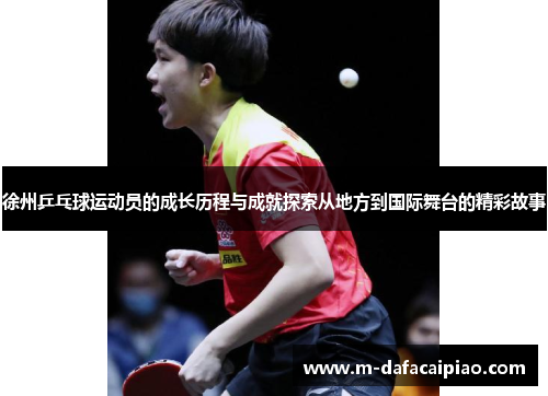 徐州乒乓球运动员的成长历程与成就探索从地方到国际舞台的精彩故事