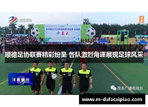 顺德足协联赛精彩纷呈 各队激烈角逐展现足球风采